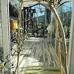Apartament Dos Palmas