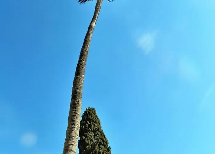 公寓 Dos Palmas 杜布罗夫尼克